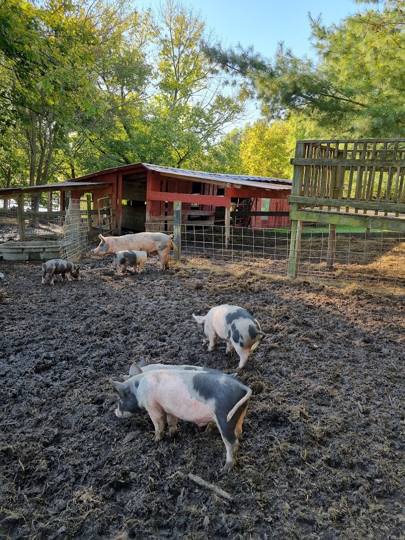Great Country Farms photo 4