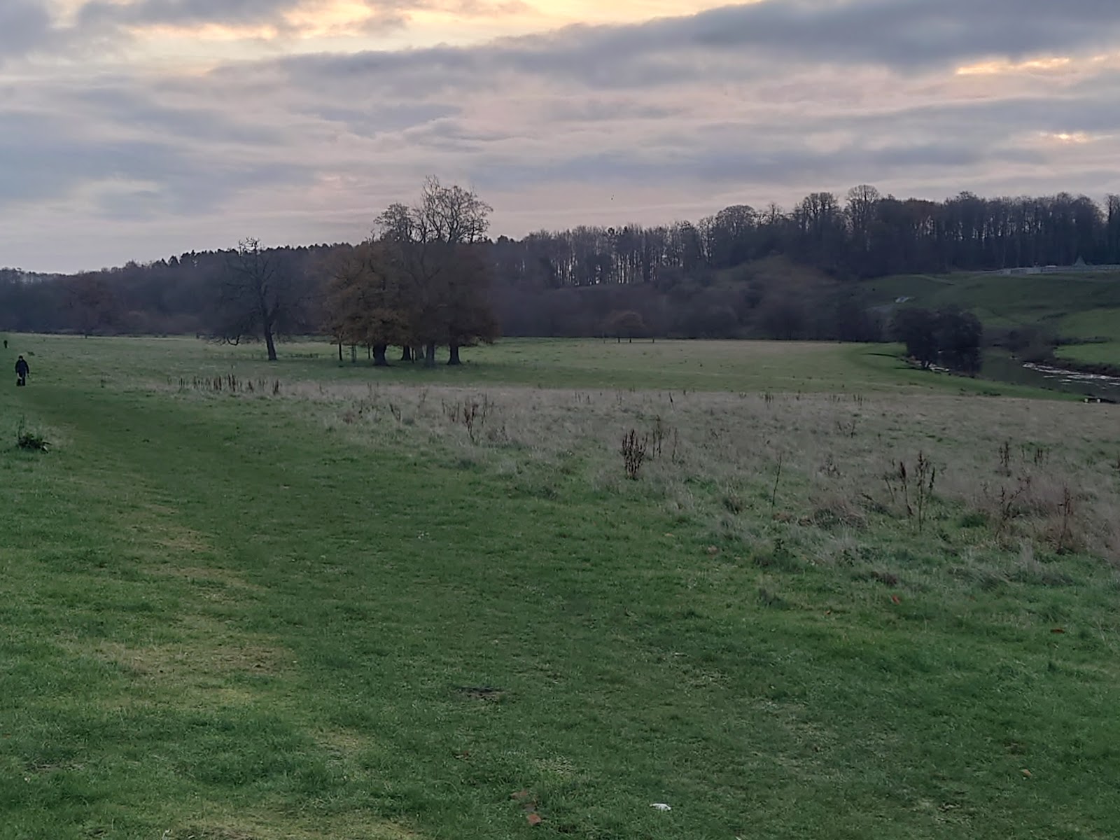 Every Parkrun in Northumberland: A Complete Guide to 5K and Junior Events