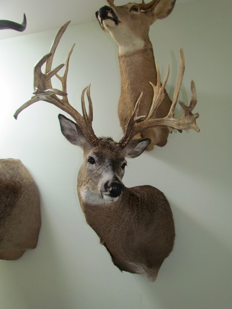The Hunting Company - Photo 6