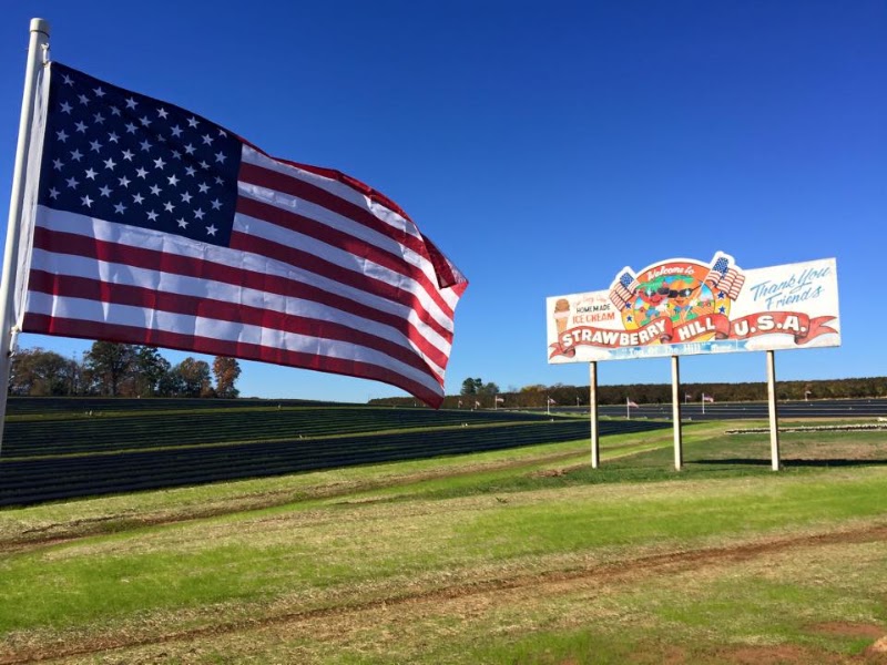 Strawberry Hill USA- PRODUCE SHED photo 1