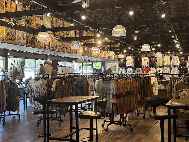 Big Vista Mountain Home photo 2