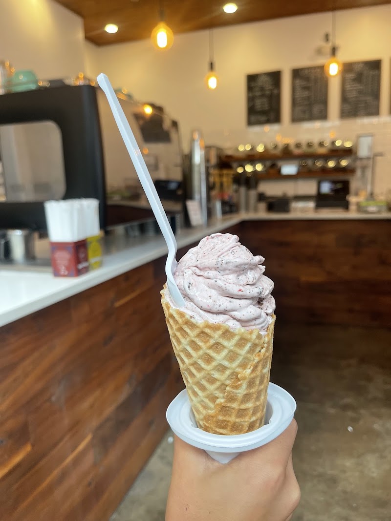 Spill the Beans photo 2