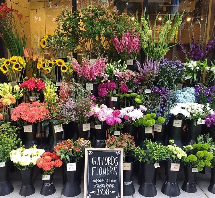 Gifford's Flowers: Google Places image 5