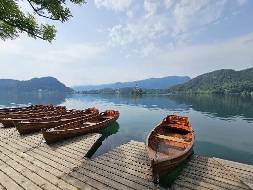 Lake Bled Fishing