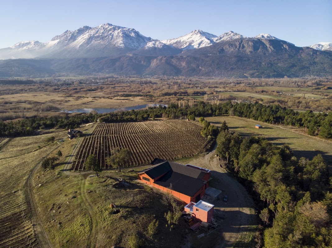 Patagonian Wines