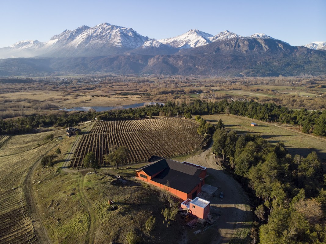 Patagonian Wines