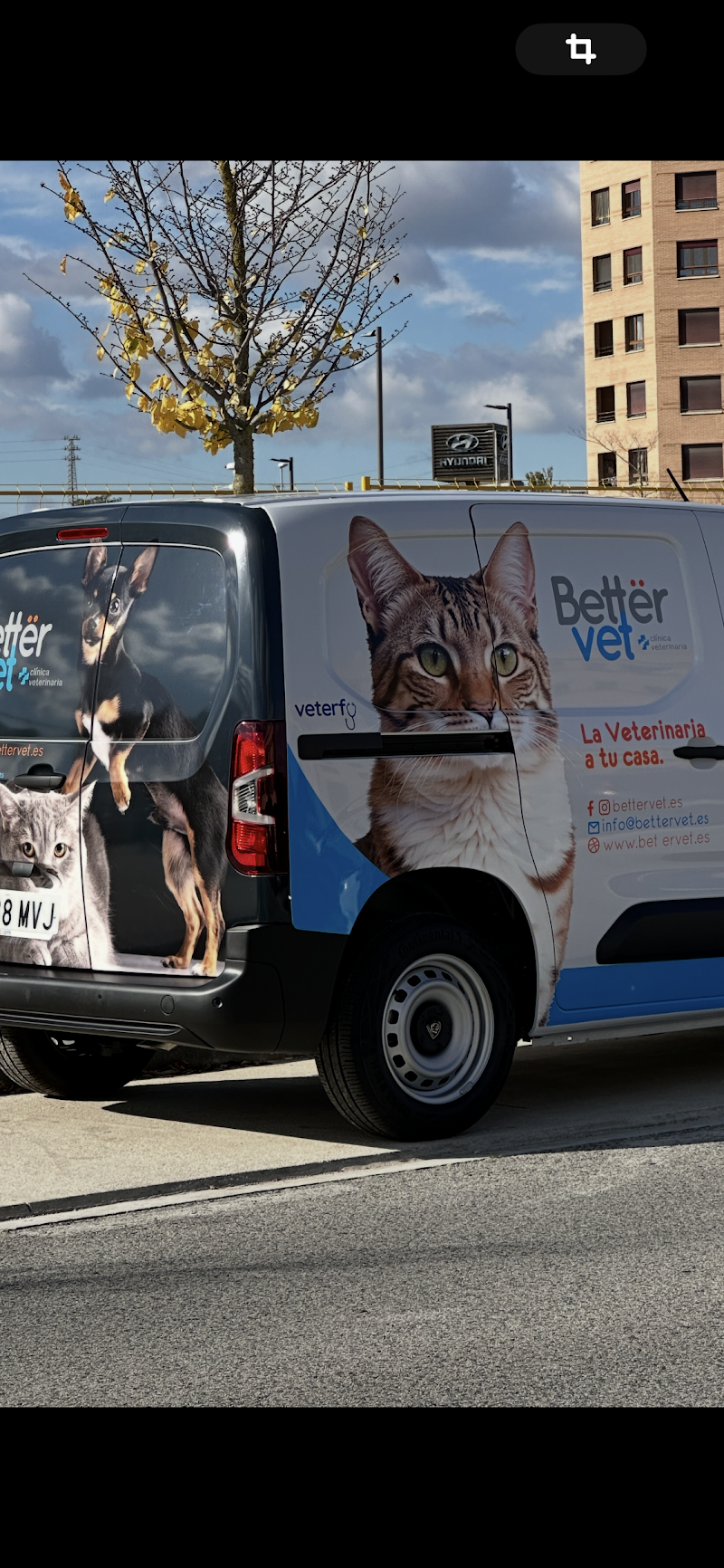Clínica veterinaria Bettervet del Sadar