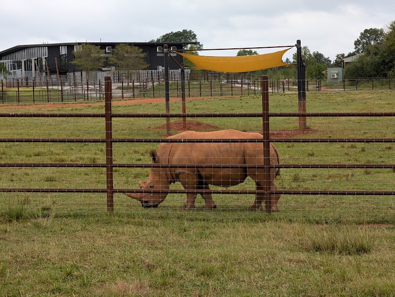 Georgia Safari Conservation Park - Photo 5