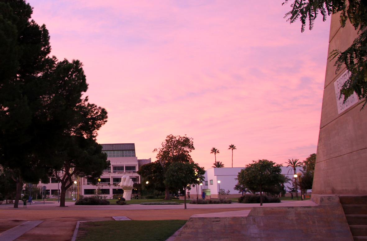 Universidad de Alicante
