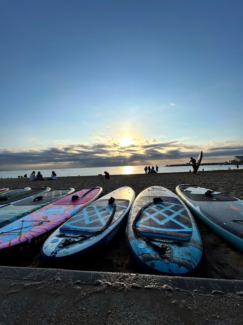 SEA YOU Paddle Surf School