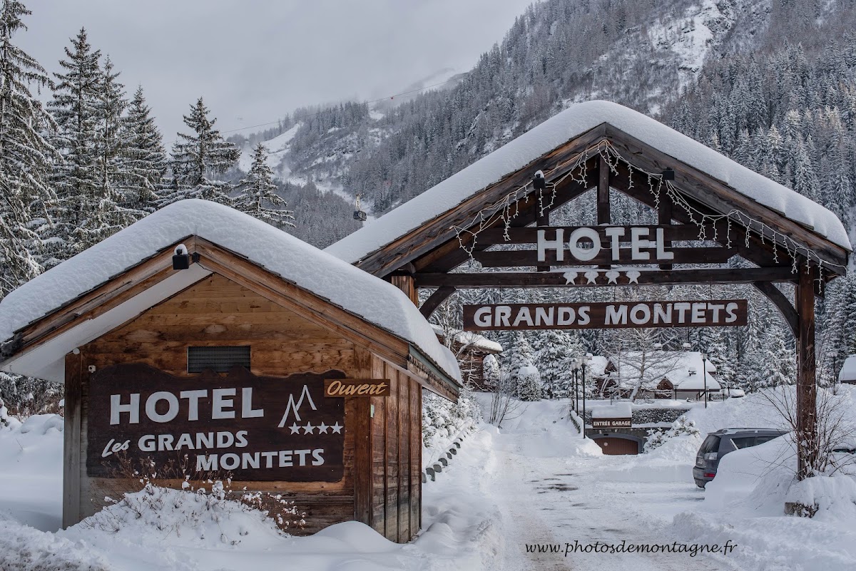 Les Grands Montets Hôtel & Spa, dog-friendly hotel, photo 5