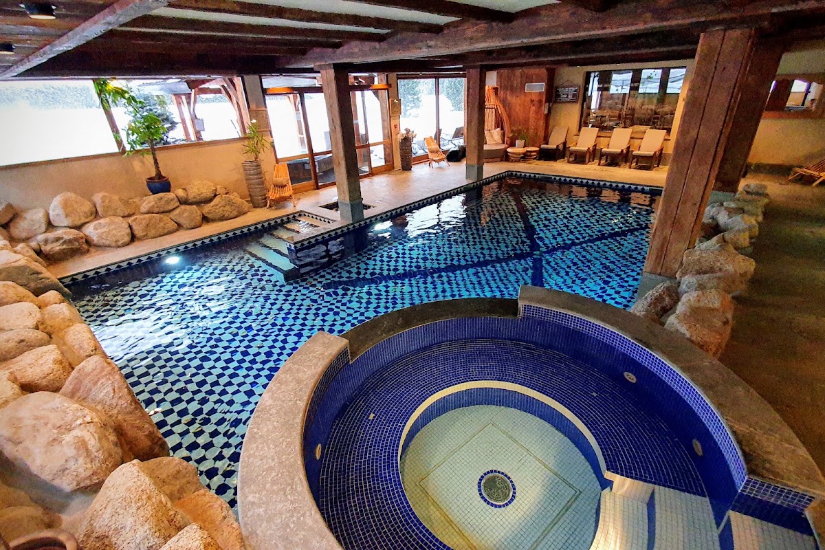 Les Grands Montets Hôtel & Spa, dog-friendly hotel, photo 2
