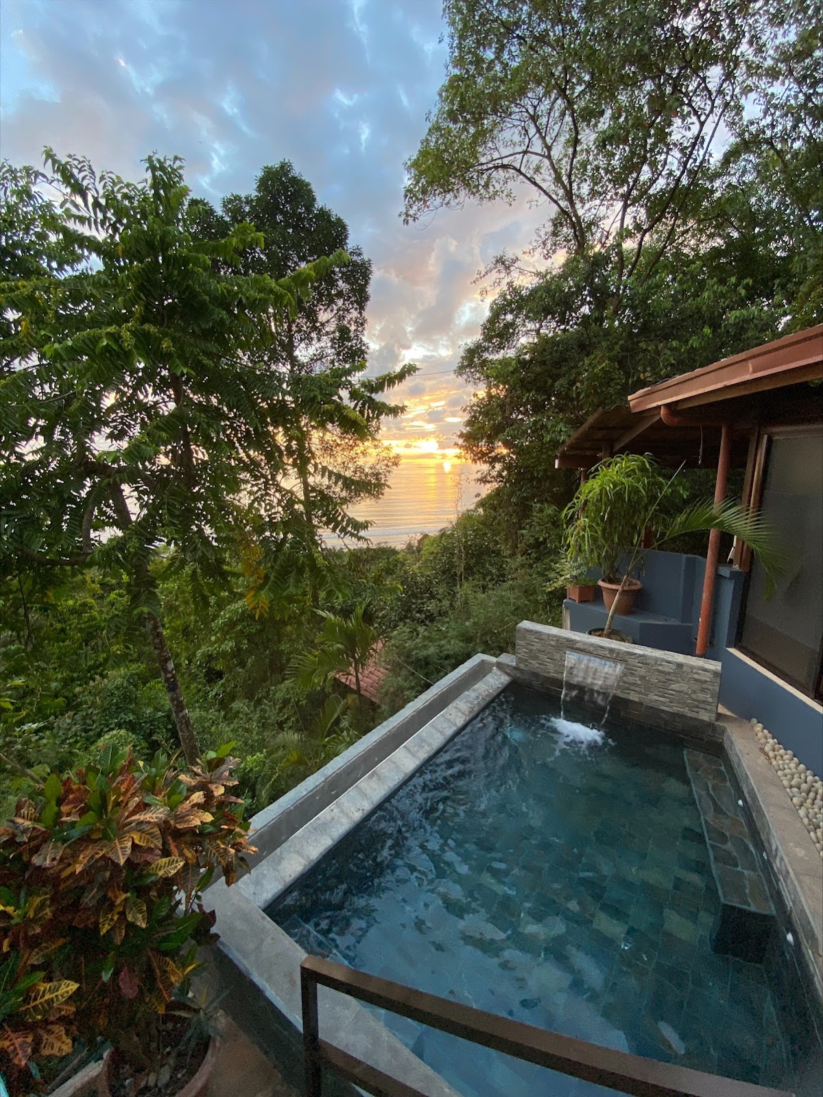 LODGE - La Uvita Perdida - LODGE — 4