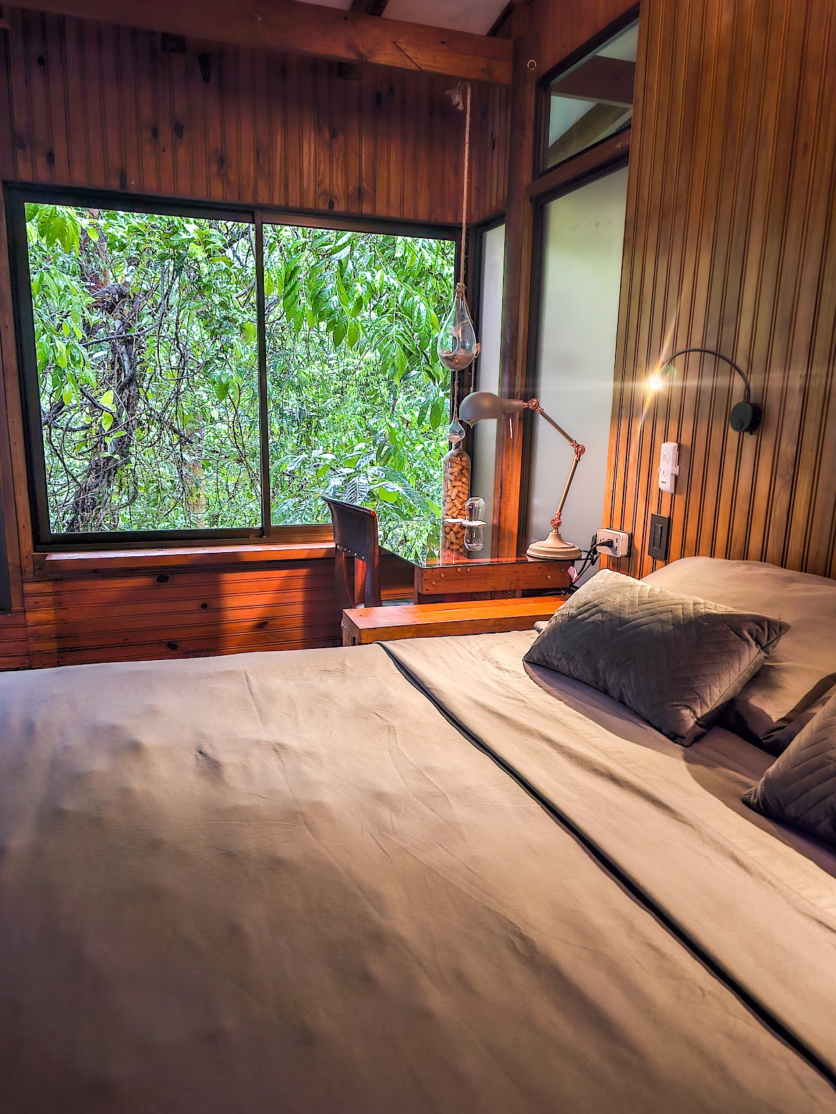 LODGE - La Uvita Perdida - LODGE — 3