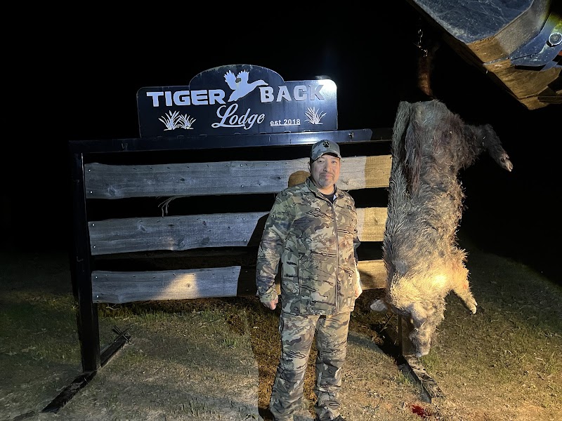 Tiger Back Lodge - Photo 6