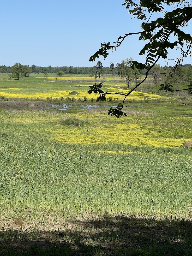 Tiger Back Lodge - Photo 2