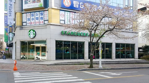 스타벅스 광주풍암점 서구 애견맛집