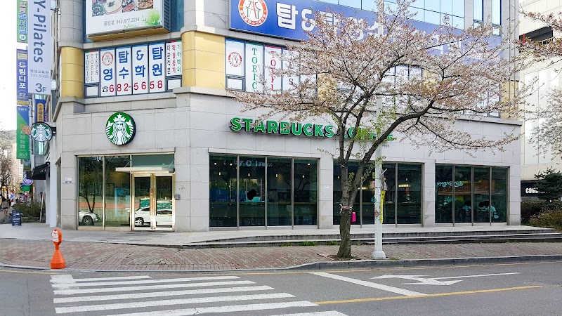 스타벅스 광주풍암점 서구 애견맛집