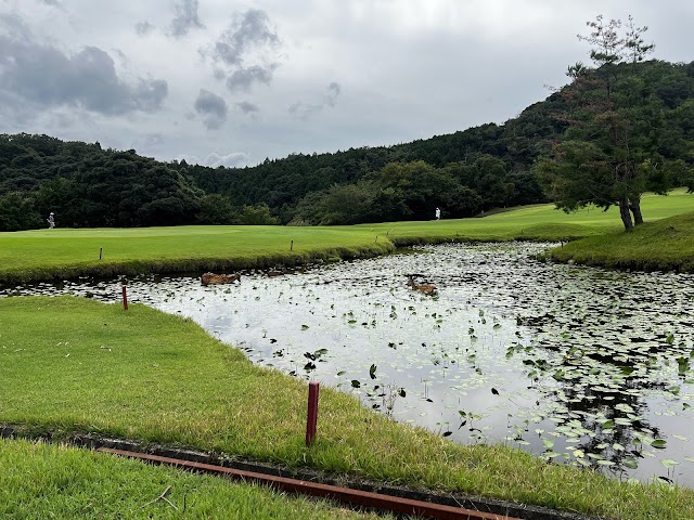 Kumihama Country Club - Photo 4
