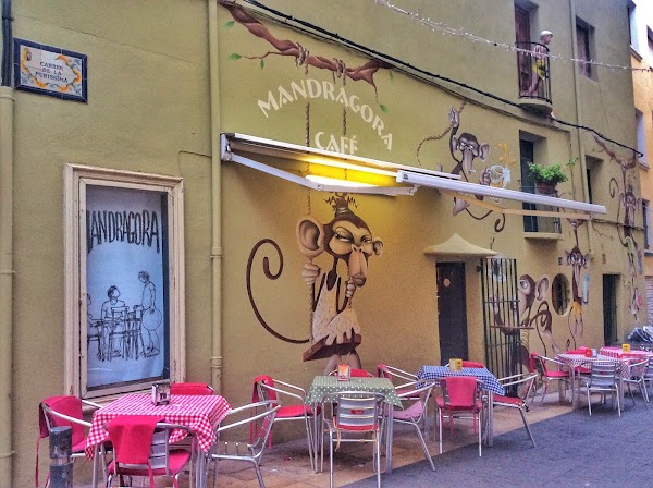 Mandragora