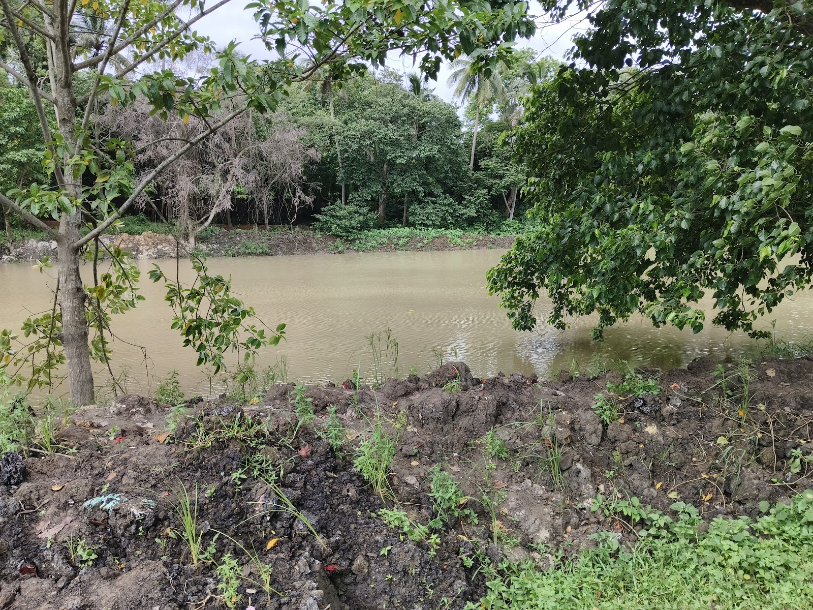 Matripalli Ground Google photo 3