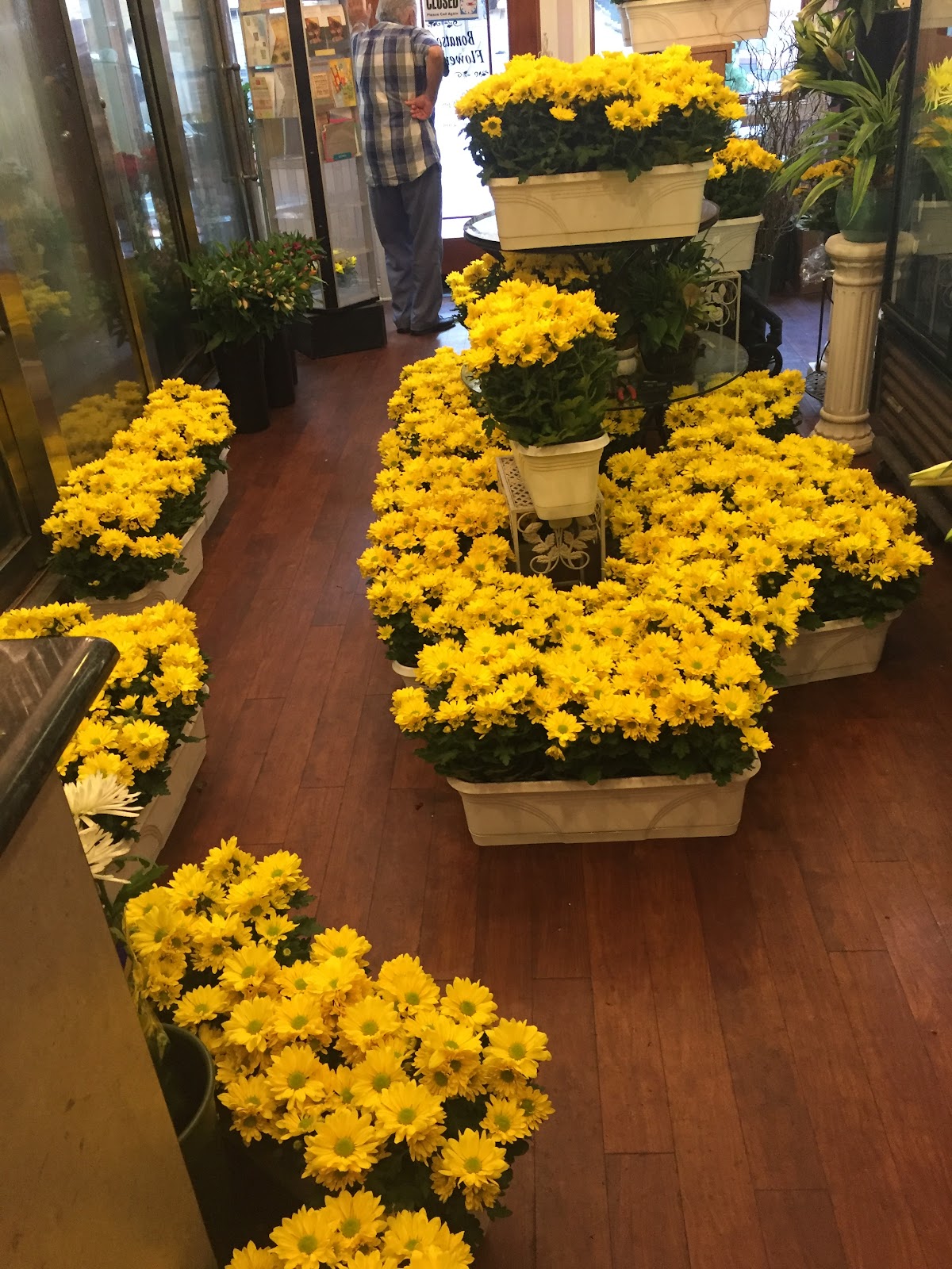 Bonatsos Flower Shop: Google Places image 4