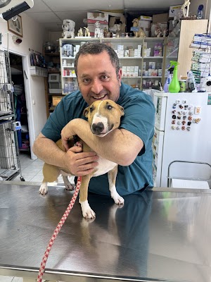 בית חולים וטרינרי אשדוד