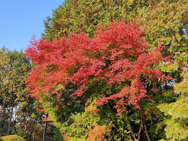 Tsukigase Country Club - Photo 6