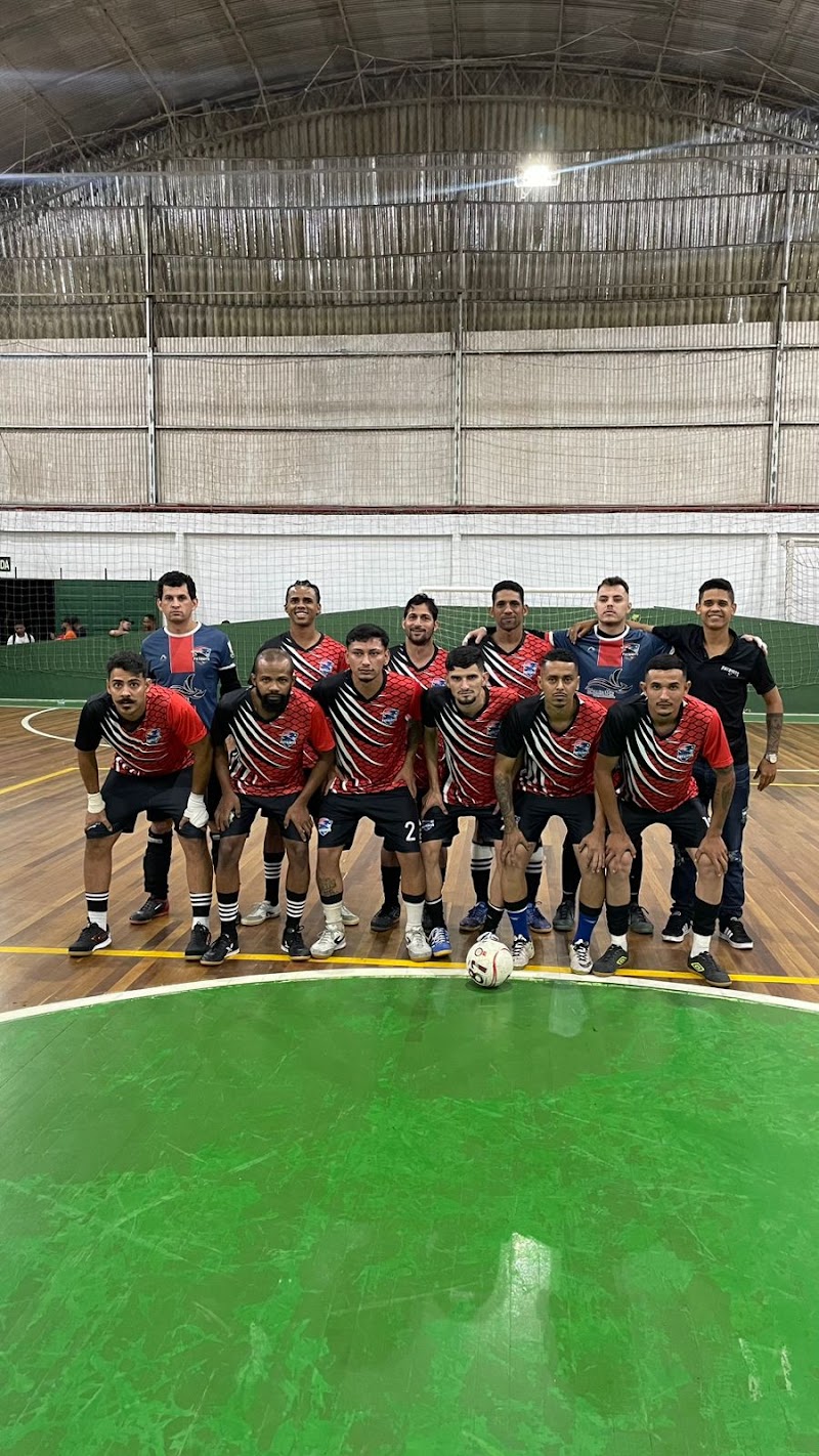 Foto de Sociedade Palmeiras Futebol Clube