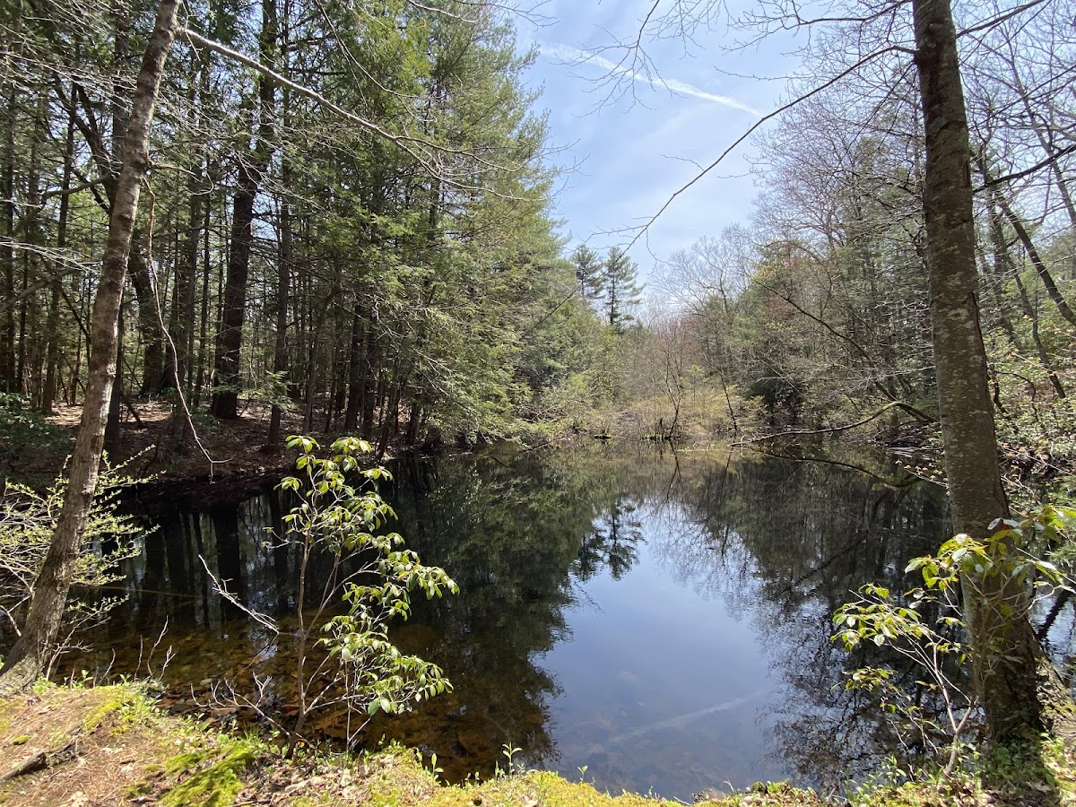 Capen Hill Nature Sanctuary