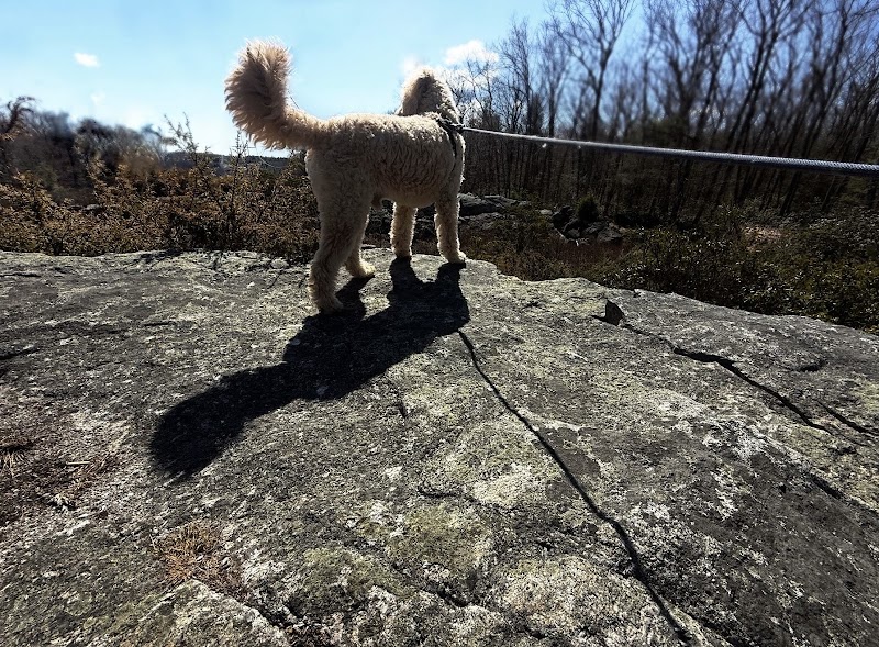 Capen Hill Nature Sanctuary - Photo 2