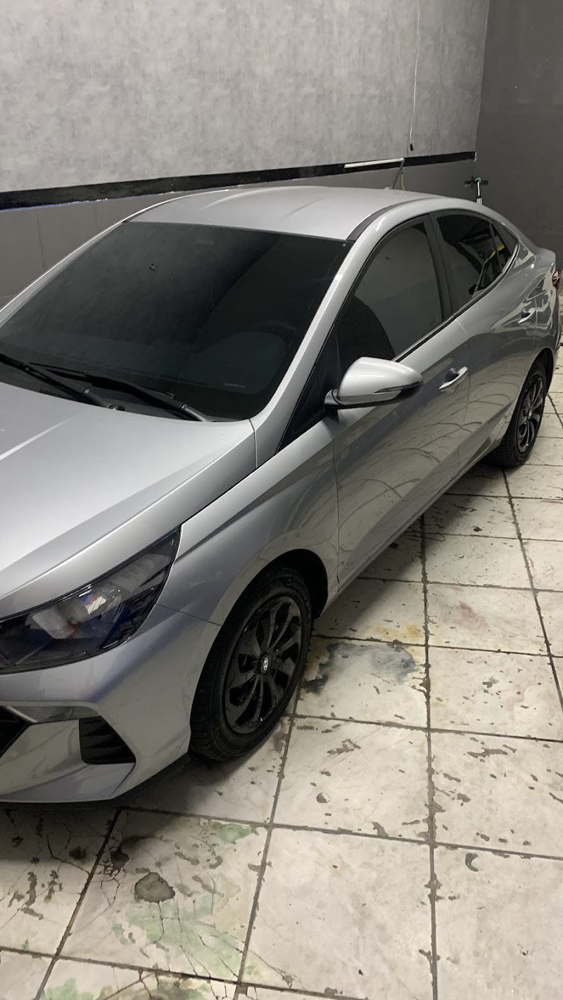 Foto de Feras Wrap feras auto envelopamento