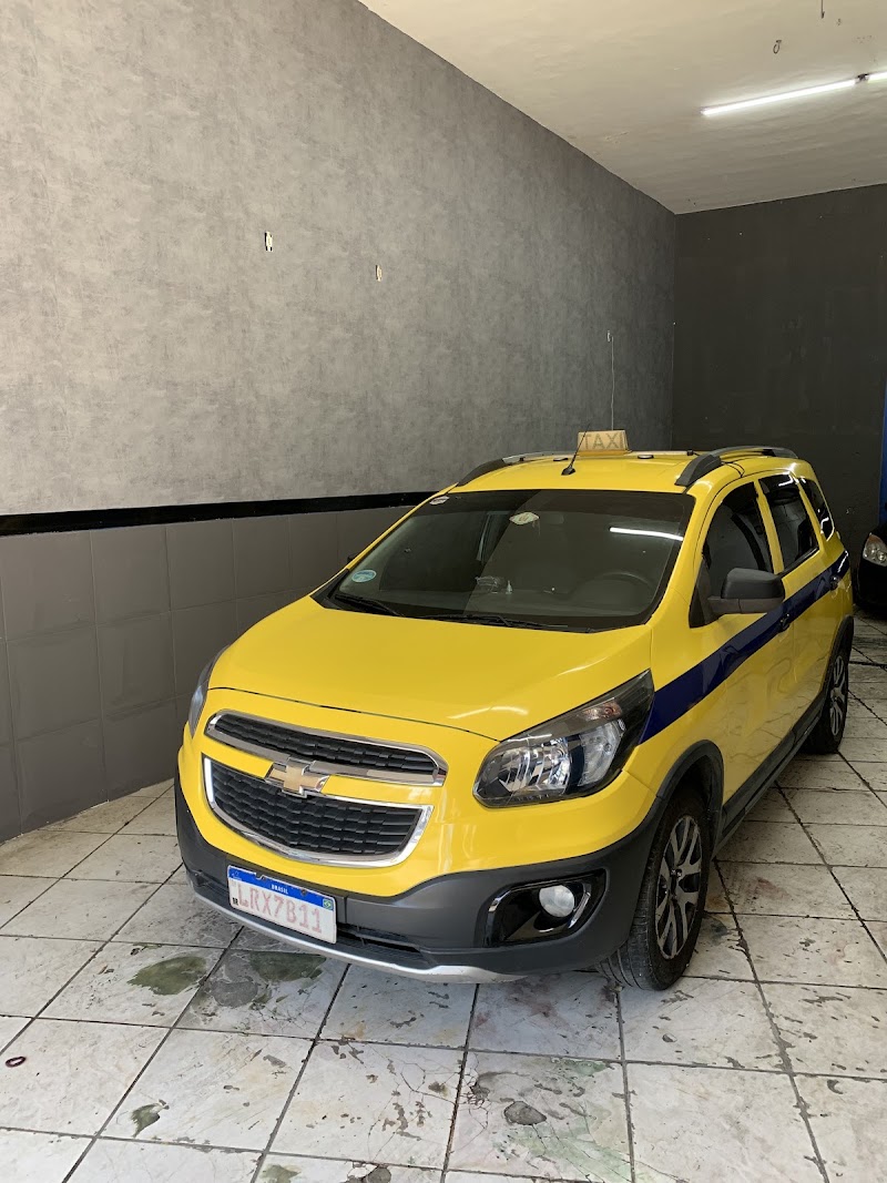 Foto de Feras Wrap feras auto envelopamento