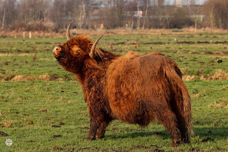 Polders Zegerveld
