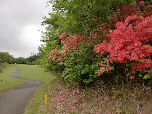 Oomama Golf Club - Photo 8