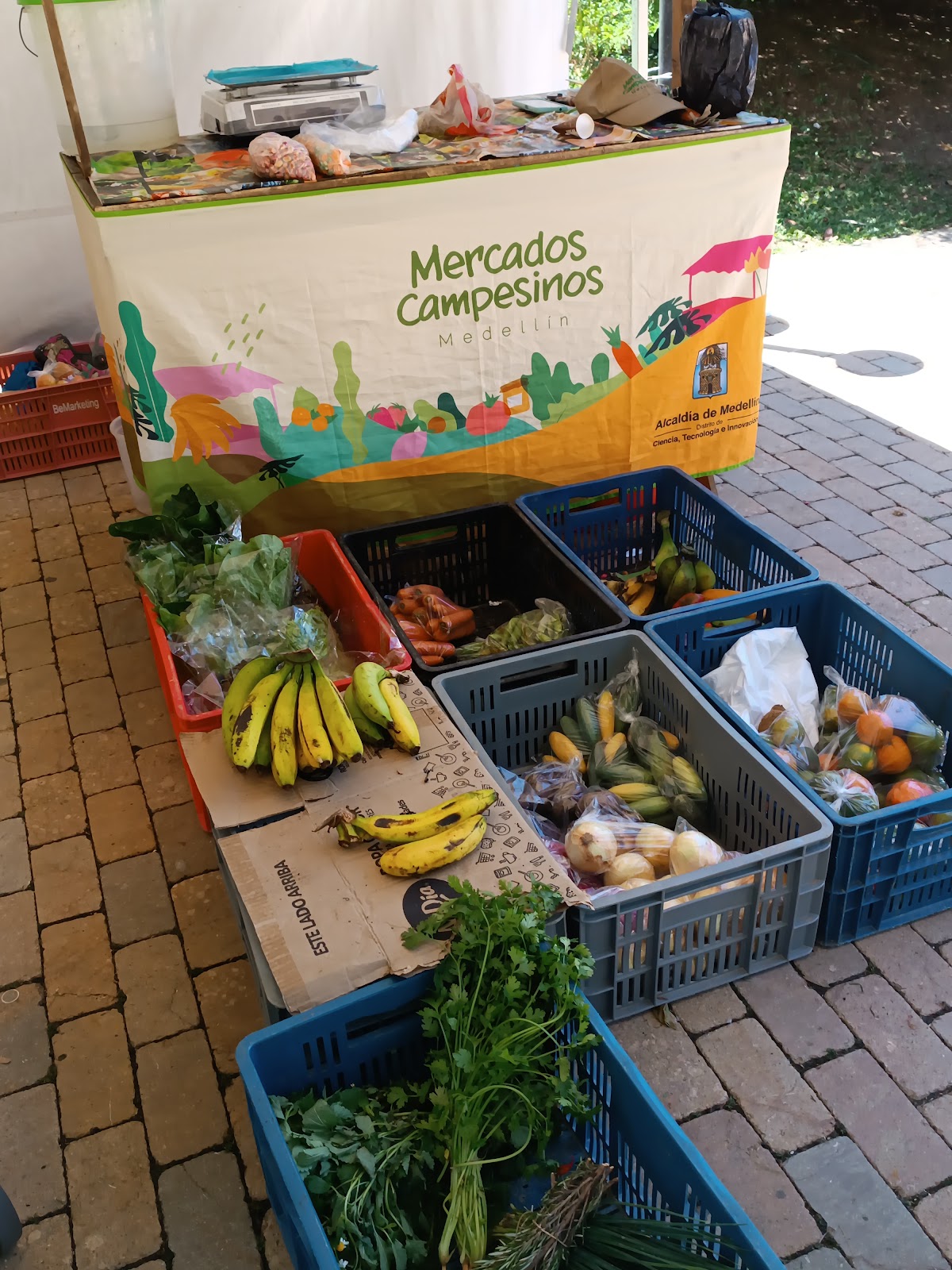 Mercados Campesinos