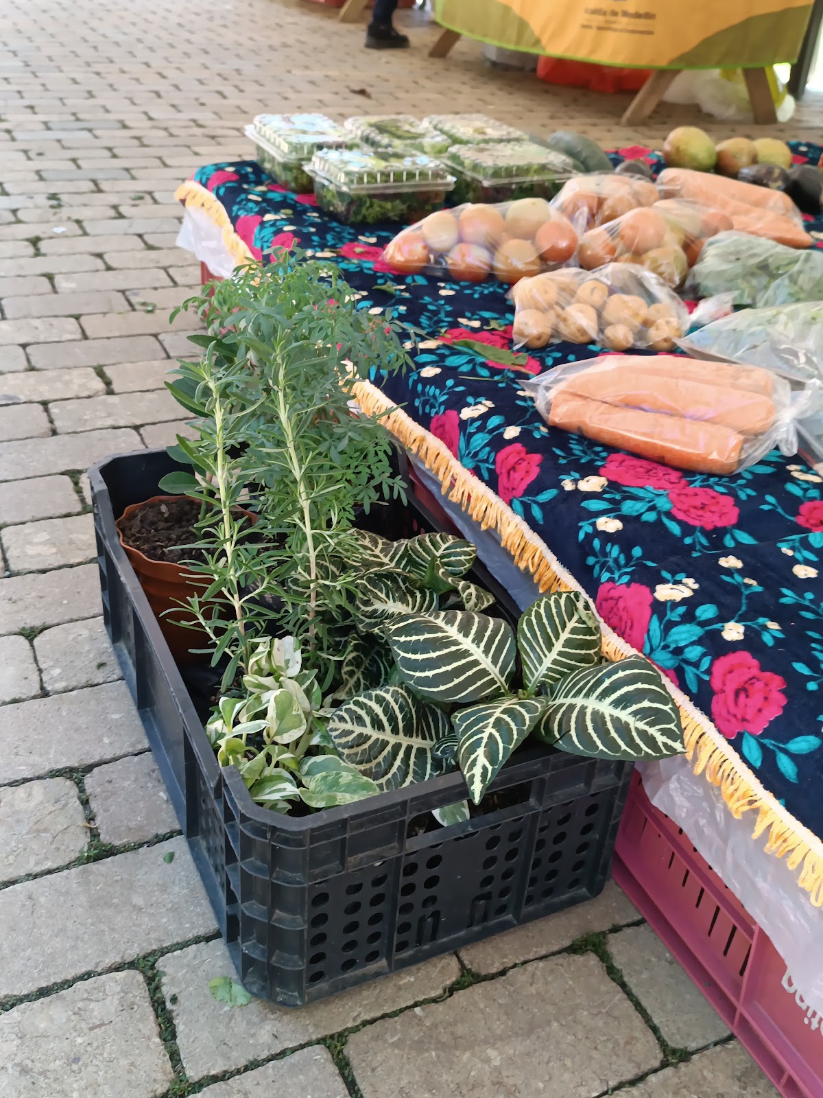 Mercados Campesinos