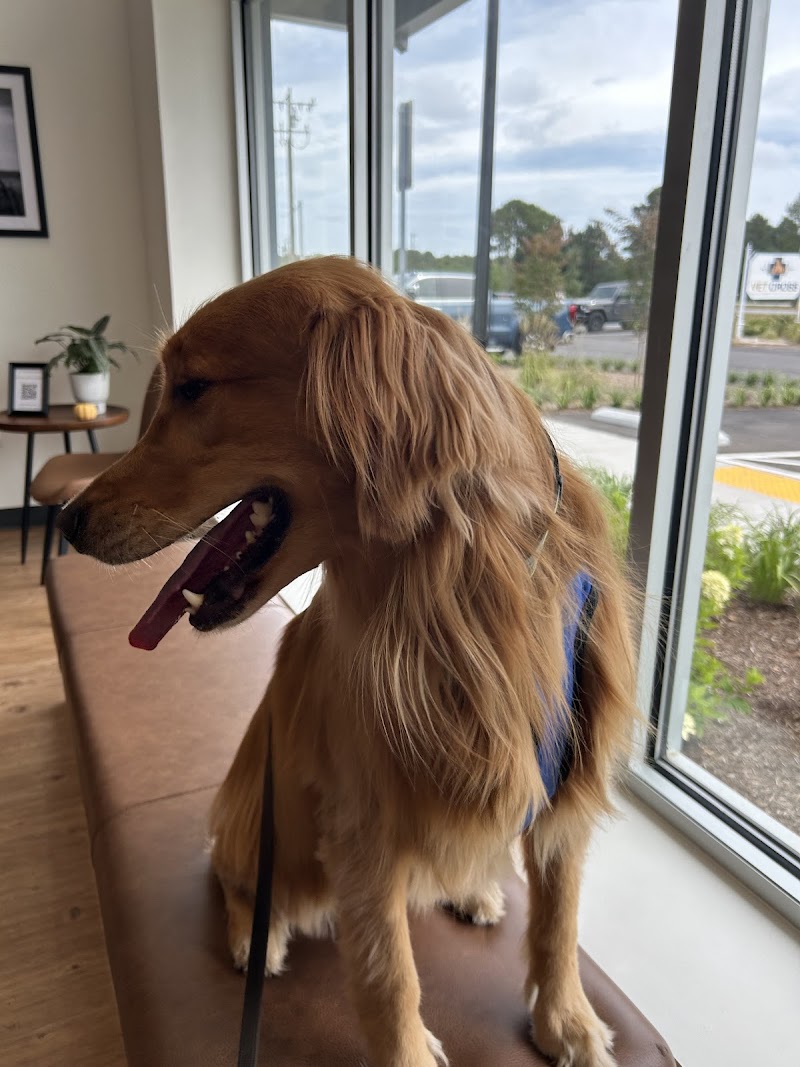 Vet Cross Animal Urgent Care Hospital