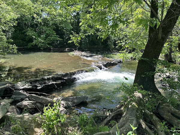 Photo by Paulette Meggoe