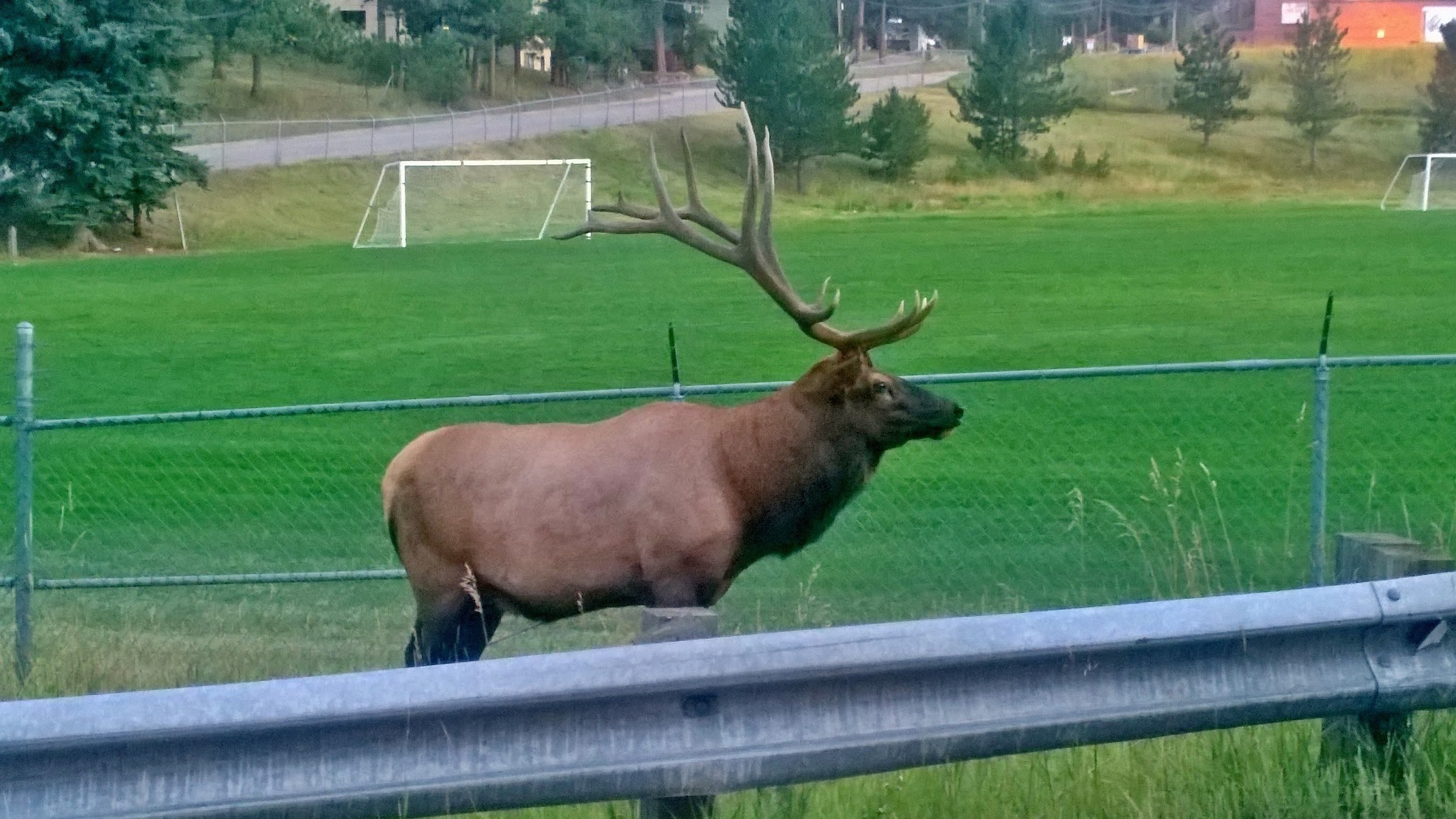 Evergreen High School