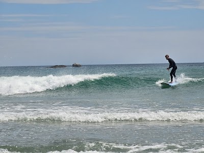 Mount Surf Academy