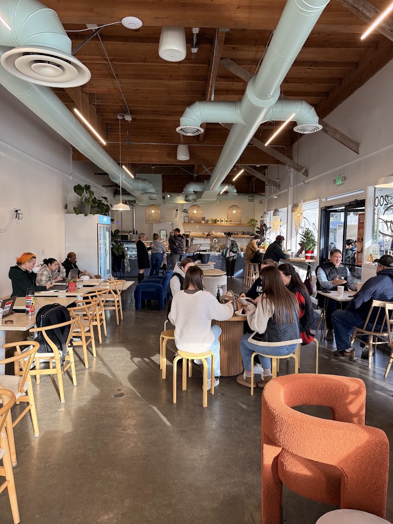Candor Coffee photo 4