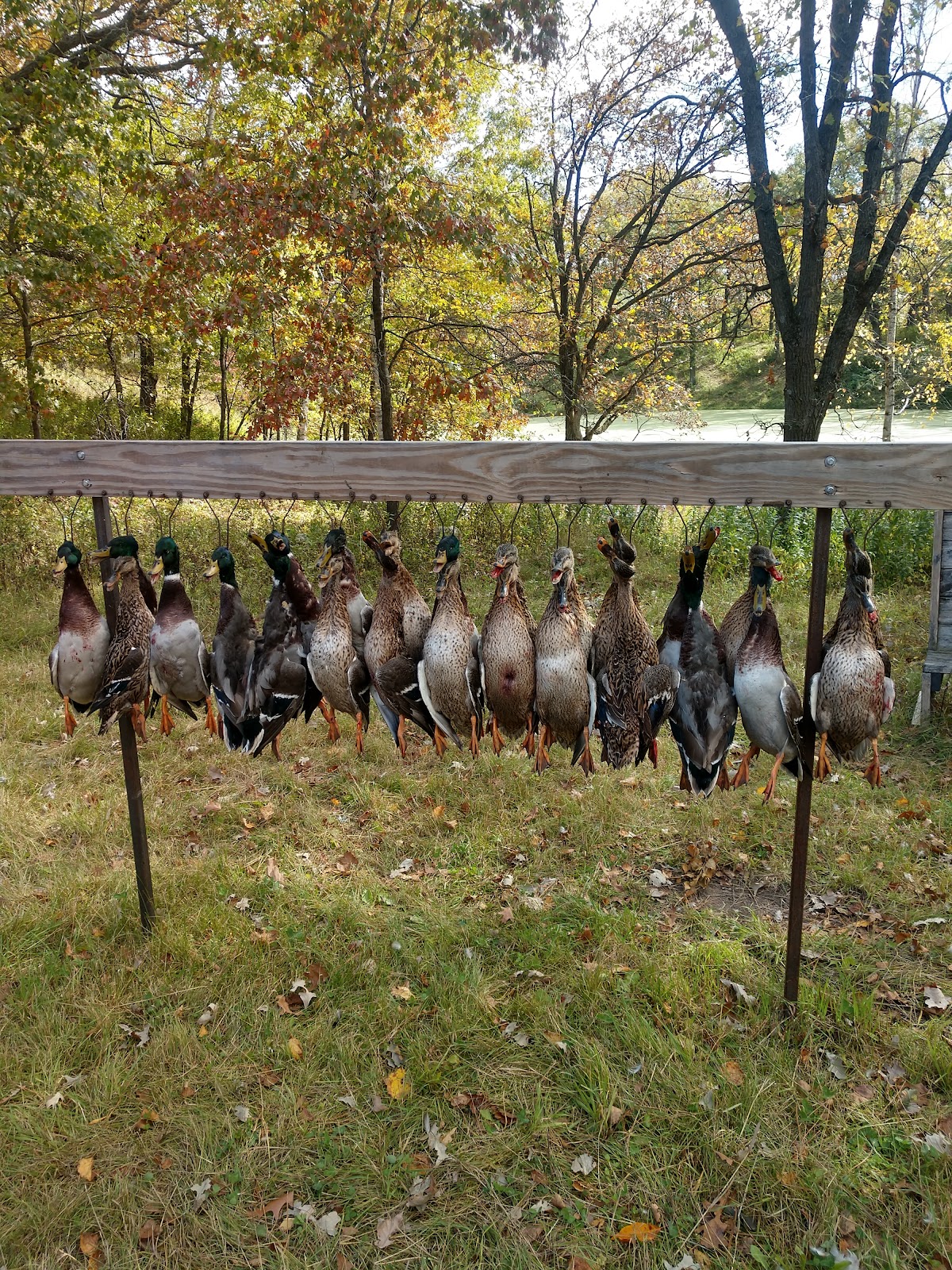 Rice Creek Hunting & Recreation