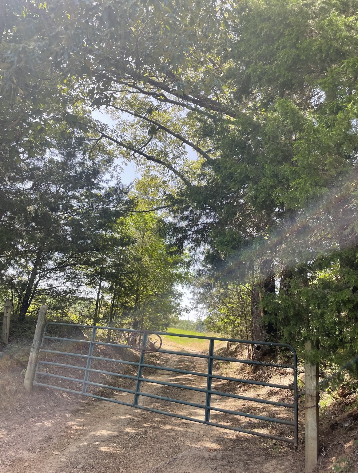 The Killebrew Ranch