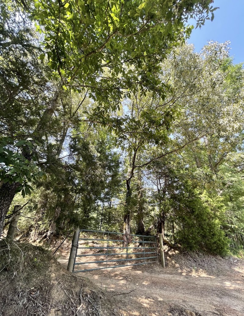 The Killebrew Ranch - Photo 5