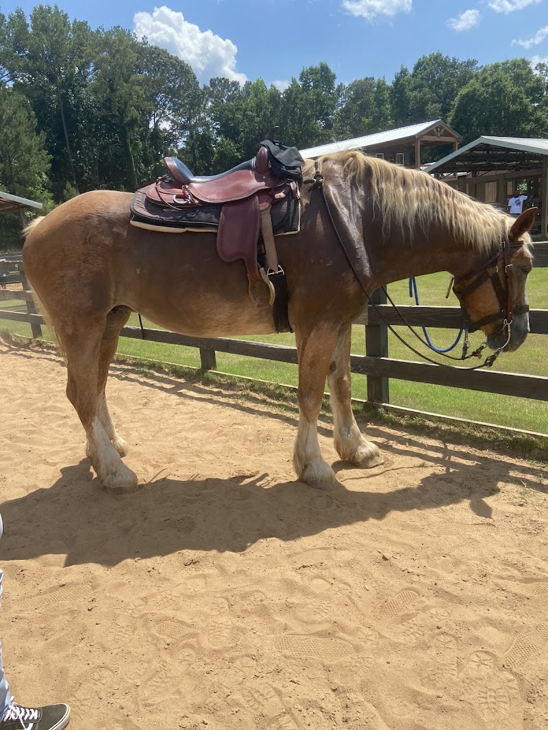 Callidora Ranch - Photo 4