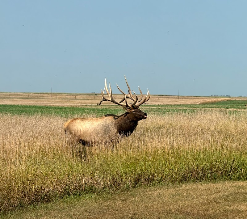 Sodak Prairie Acres - Photo 2