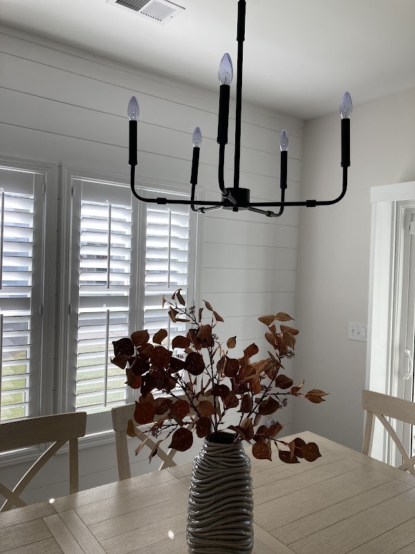 Taylors Mark Howard Electric project 2