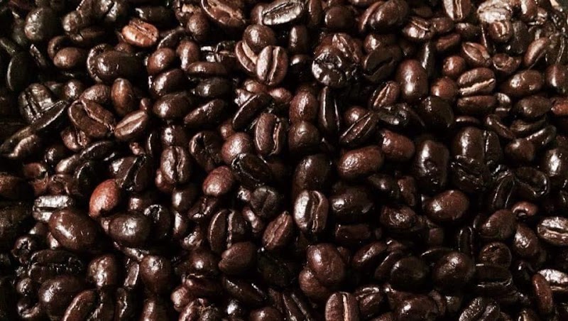 Chardon Buckeye Chocolate Café photo 2