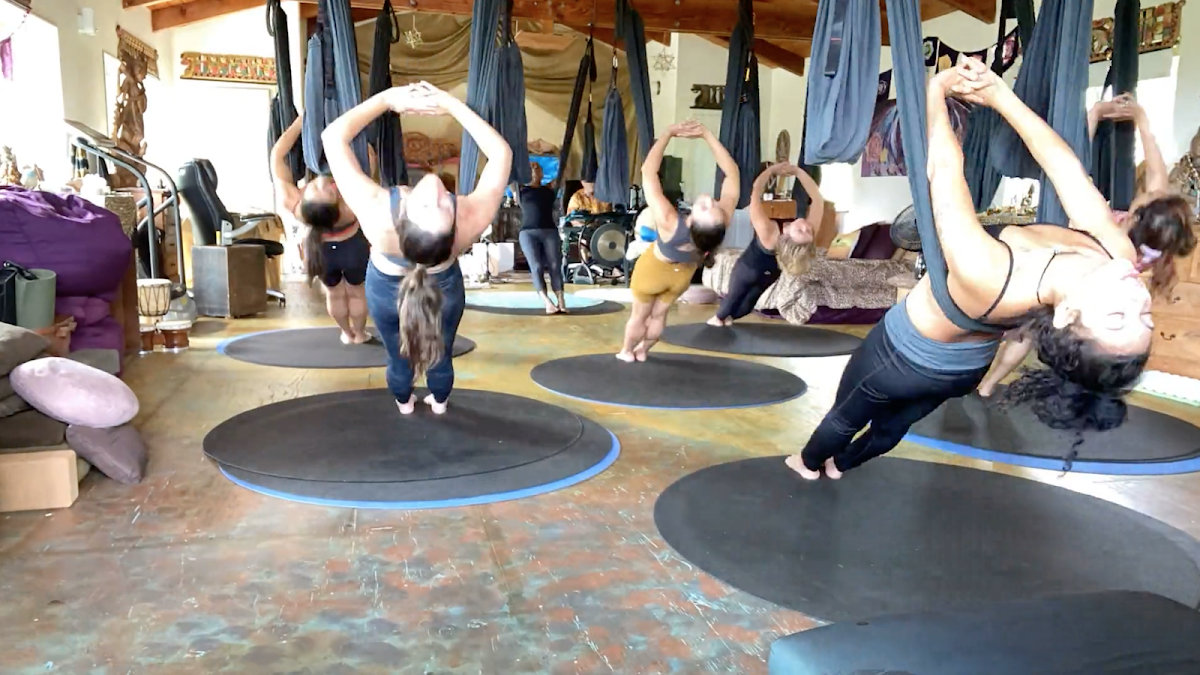 Black Swan Temple & Farm — 4